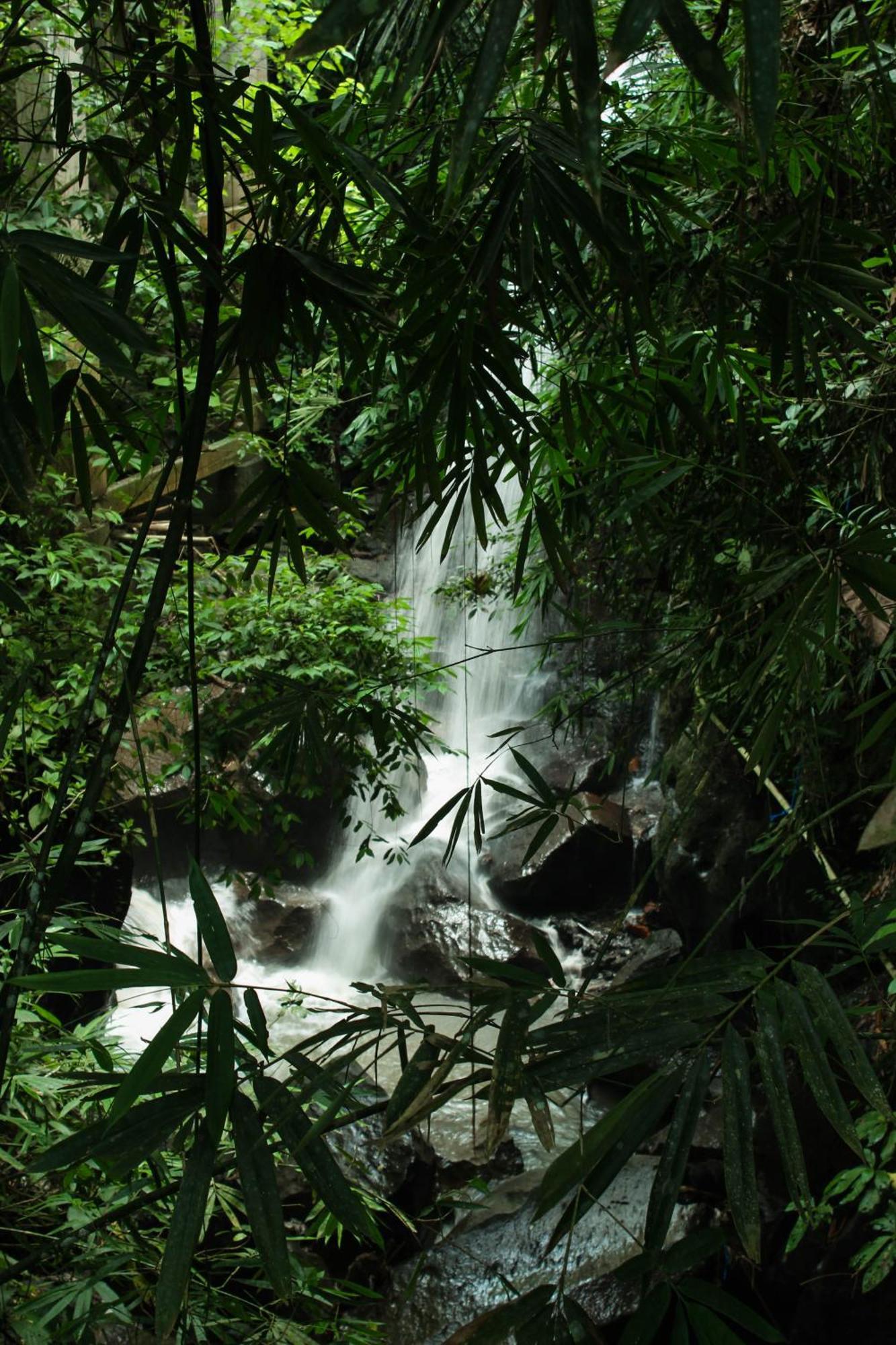 Ubud Hills Villas & Resort Tegallalang  Esterno foto